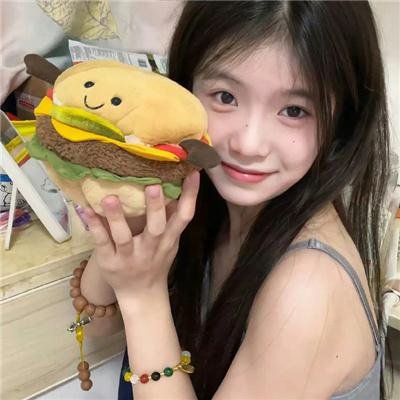特罗马警报